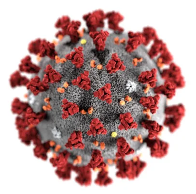 Pseudotyped Lentivirus for Betacoronaviruses