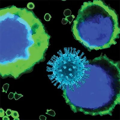HIV Rev-dependent Reporter Cells
