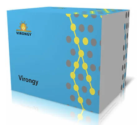 Intracellular Protein Staining Kit