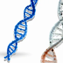 Viral RNA and DNA Extraction Kits